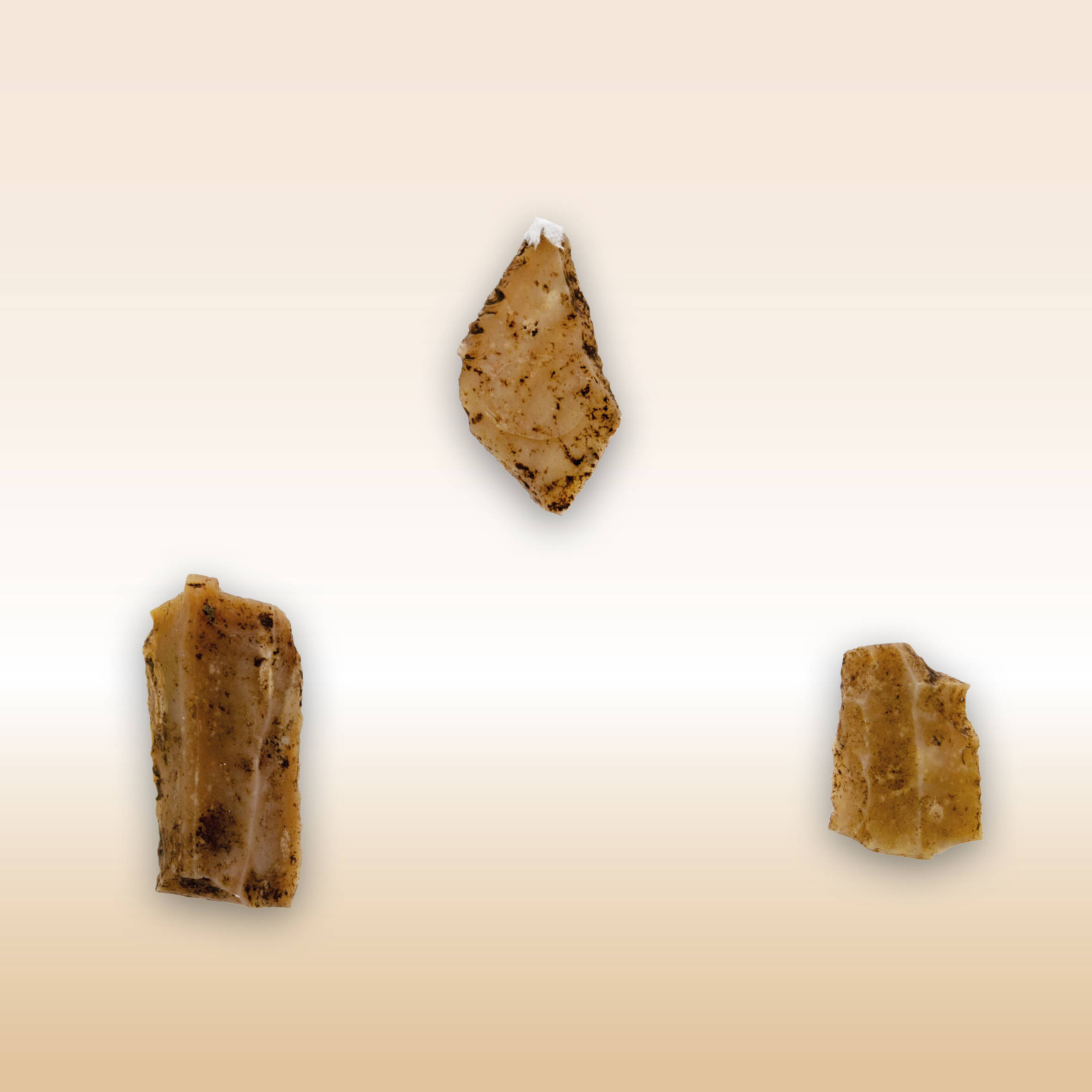 BULINO IN SELCE BIONDA