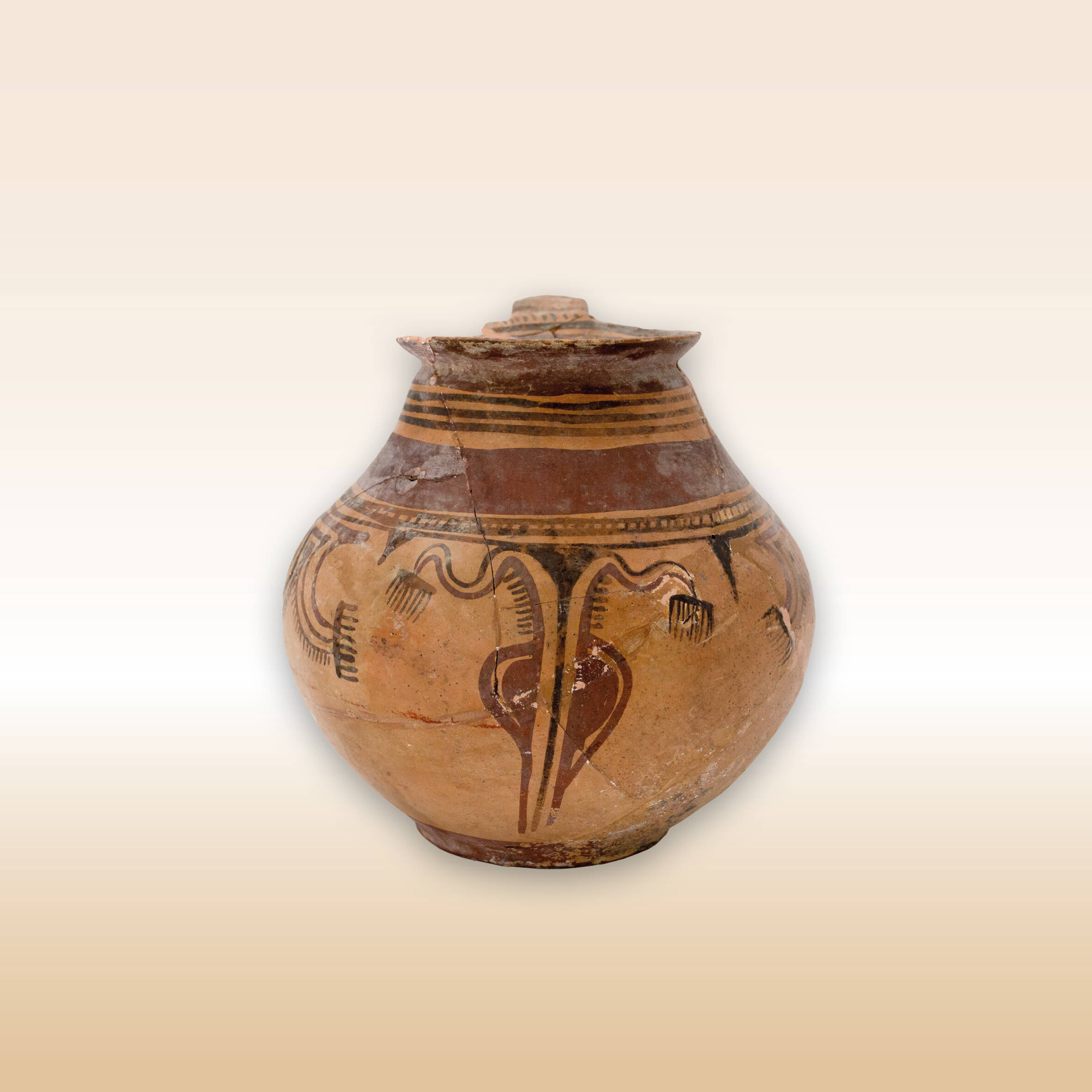 BROCCA SUBGEOMETRICA