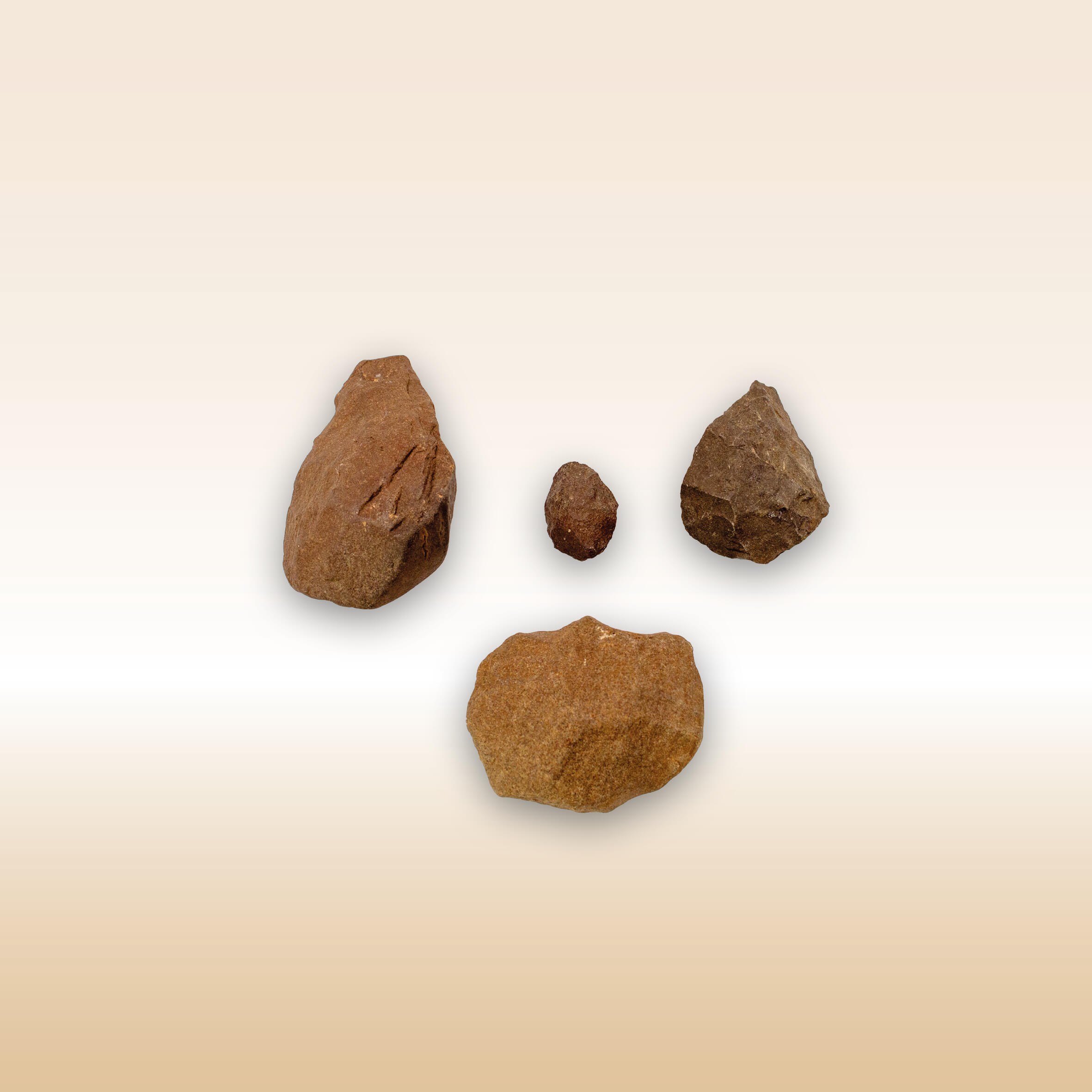 BIFACCIALI AMIGDALARI E DISCO LEVALLOIS