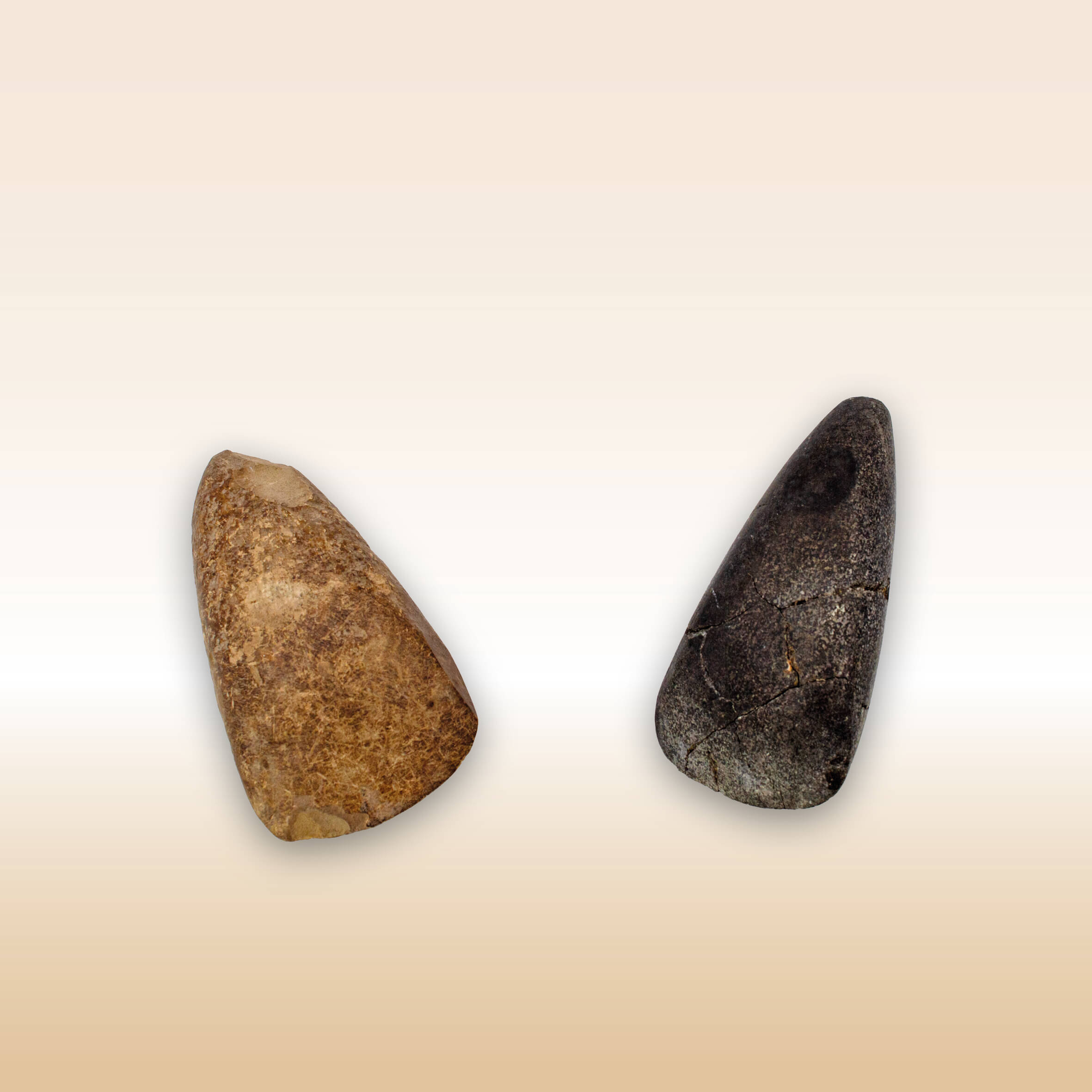 ACCETTA TRAPEZOIDALE E ACCETTA TRIANGOLARE